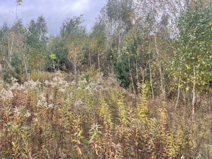 Działki budowlane Barcice Drwalewskie, gm.Chynów pow. Grójec