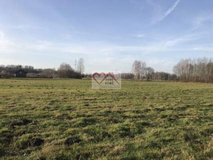 ORNETA UL. KRZYKAŁY - DZIAŁKI BUDOWLANE 2000 M2, P