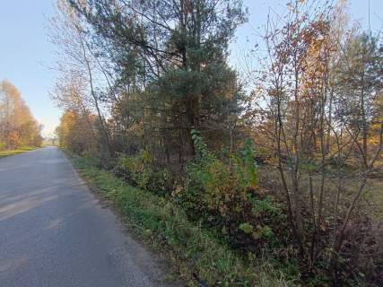 Piękna działka 1500 m2, Dąbie gm. Włoszczowa