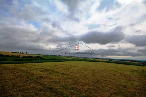Działka budowlana na sprzedaż, 3500 m2, Sólca