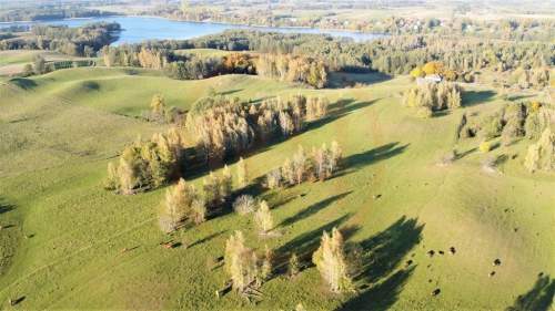 Działki w Sajzach 