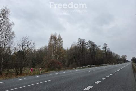 Działki z przyszłym potencjałem inwestycyjnym.
