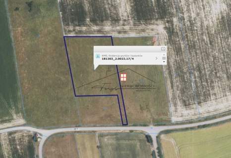 Działka budowlana na sprzedaż, 3500 m2, Sólca