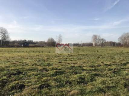ORNETA UL. KRZYKAŁY - DZIAŁKI BUDOWLANE 2000 M2, P
