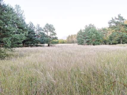 Działka pod hale, Stare Brynki