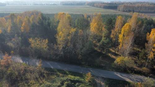 Piękna działka 1500 m2, Dąbie gm. Włoszczowa
