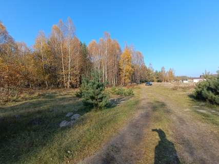 Piękna działka 1500 m2, Dąbie gm. Włoszczowa