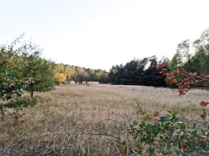 Działka pod hale, Stare Brynki