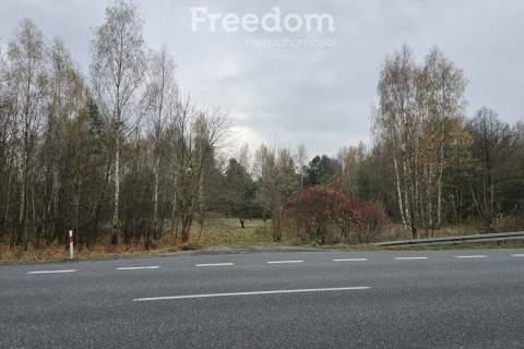 Działki z przyszłym potencjałem inwestycyjnym.