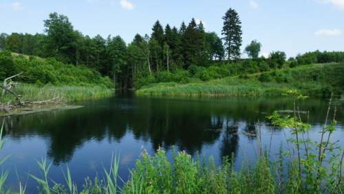 Działka rolna na sprzedaż, 10770 m2, Bobolice