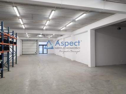 Wynajem lokal magazynowo-handlowy pow. 225 m2