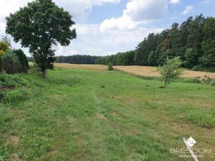 Okazja, duża działka budowlana, 25 km od Olsztyna