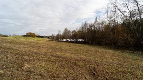 Dziełka Inwestycyjna - Stanisław Dolny