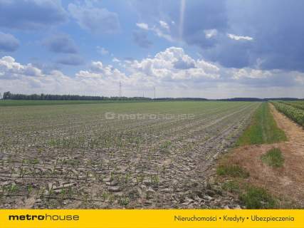 Działka inwestycyjna w Sławacinku Starym