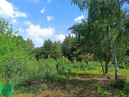 Ojrzanów działka budowlano- leśna 2241m2