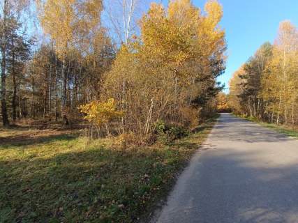 Piękna działka 1500 m2, Dąbie gm. Włoszczowa