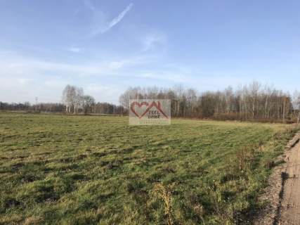 ORNETA UL. KRZYKAŁY - DZIAŁKI BUDOWLANE 2000 M2, P