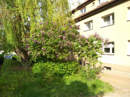 Wygodne mieszkanie w centrum boczna uliczka