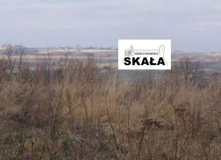 Czaple Wielkie, gmina Gołcza dz. bud - rol 26 a