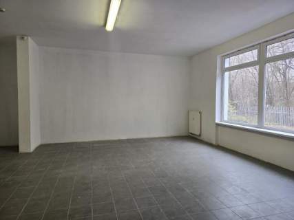 Lokal użytkowy do wynajęcia, 150 m2, Sosnowiec