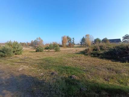 Piękna działka 1500 m2, Dąbie gm. Włoszczowa