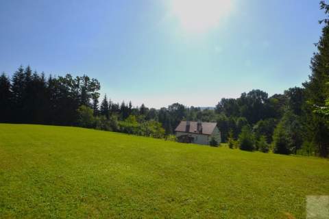Na sprzedaż działka z WZ w Tarnawcach k. Przemyśla