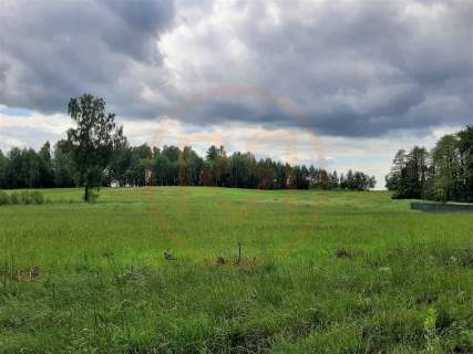 Działki w Dobrej Woli 
