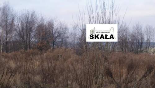 Czaple Wielkie, gmina Gołcza dz. bud - rol 26 a