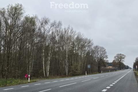 Działki z przyszłym potencjałem inwestycyjnym.