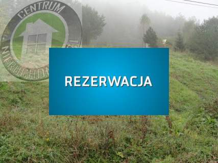 Działka budowlana na sprzedaż, 2400 m2, Nowy Sącz