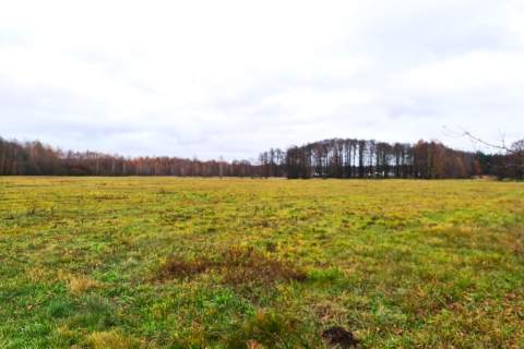 Działka na sprzedaż Brzuza