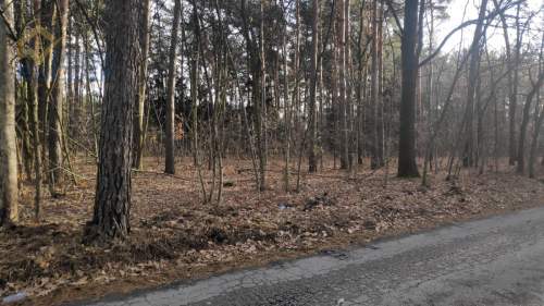 Sprzedam działkę budowlaną w Kuznocinie