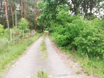Działka 0,63 ha Maszkowo koło Koszalina