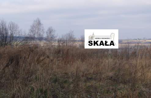 Czaple Wielkie, gmina Gołcza dz. bud - rol 26 a