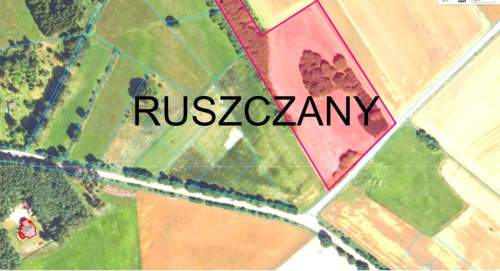 Działka Ruszczany