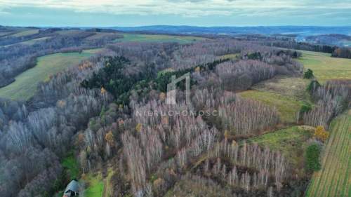 NIERUCHOMOŚĆ ROLNA O POW. 1,95HA, SZUFNAROWA, GM. WIŚNIOWA, POW....