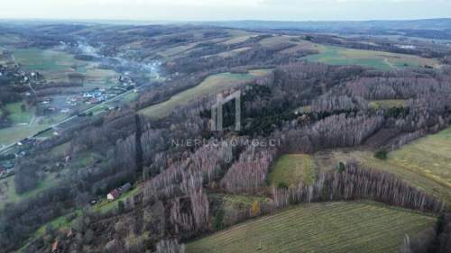 NIERUCHOMOŚĆ ROLNA O POW. 1,95HA, SZUFNAROWA, GM. WIŚNIOWA, POW....