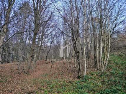 NIERUCHOMOŚĆ ROLNA O POW. 1,95HA, SZUFNAROWA, GM. WIŚNIOWA, POW....