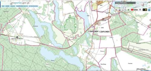 Dz.0.3393ha,Żelisławie,gmCzaplinek,J.Kaleńskie,las