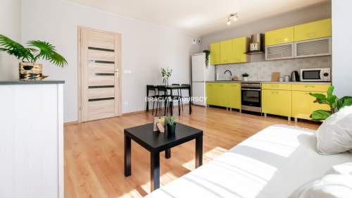 Studio na wynajem / garaż / czynsz tylko 210 zł 
