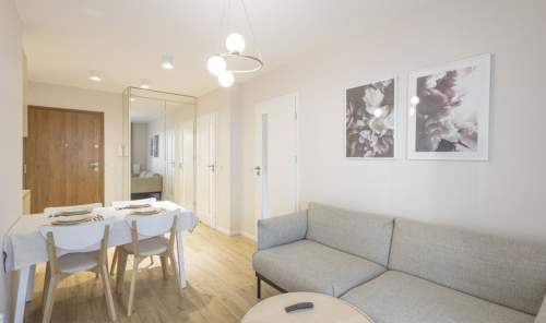 MIESZKANIE NA SPRZEDAŻ-3 POKOJE CZYŻYNY-43,06M2