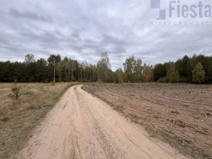 Działka rolna na sprzedaż, 2500 m2, Sosnowo