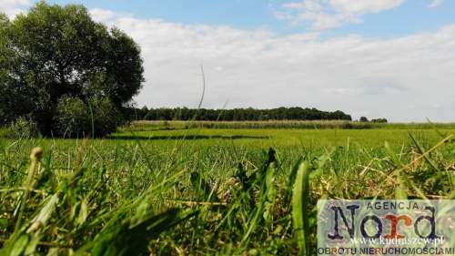 RYBCZYZNA, JEZIORO DRĘSTWO, LINIA BRZEGOWA