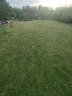 Piekny dom 230m2 z duzym ogrodem i dzialka 54 ar