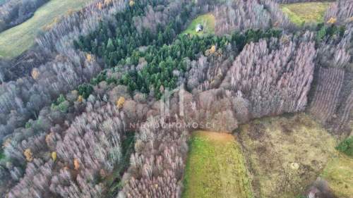 NIERUCHOMOŚĆ ROLNA O POW. 1,95HA, SZUFNAROWA, GM. WIŚNIOWA, POW....