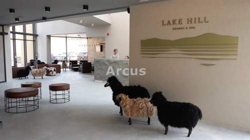 apartament inwestycyjny-condo