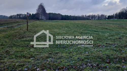 Działka rolna 3000 m2 Przęsin