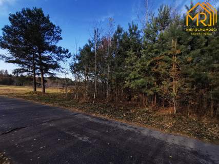 Działka pod zabudowę koło Tarnowa 1.22 ha Pogórska