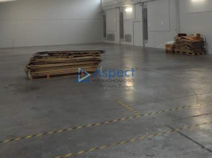 Wynajem obiekt biurowo-magazynowy 562m2