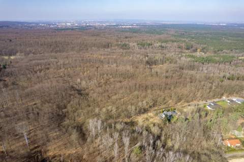 Działki w Płoni na sprzedaż